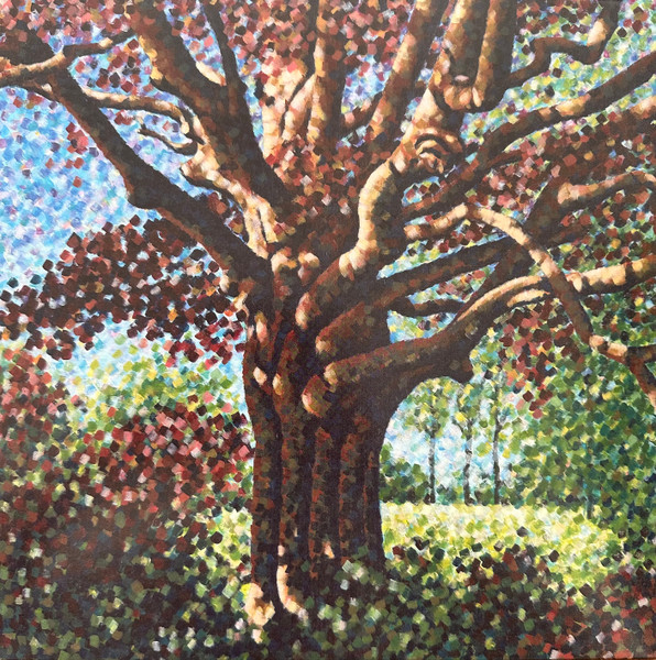 Songs For The Willow