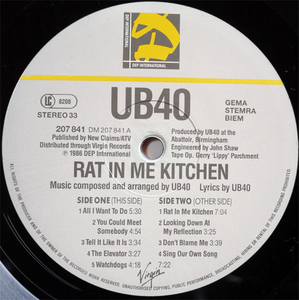 Rat In The Kitchen